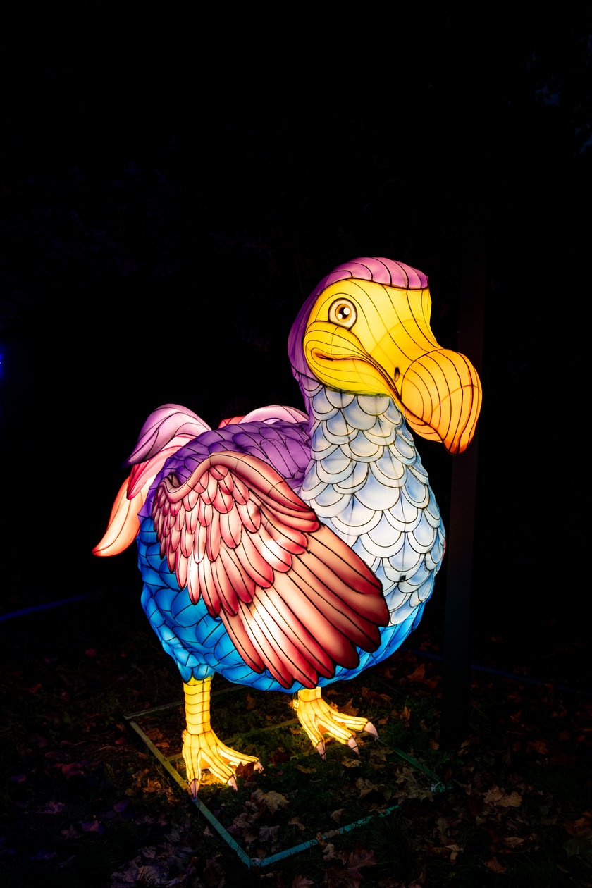 Garden od Lights - Azja
