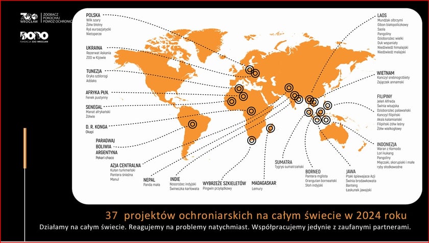 <p>Mapa 37 projekt&oacute;w ochrony zagrożonych gatunk&oacute;w, wspieranych przez Fundację DODO</p>