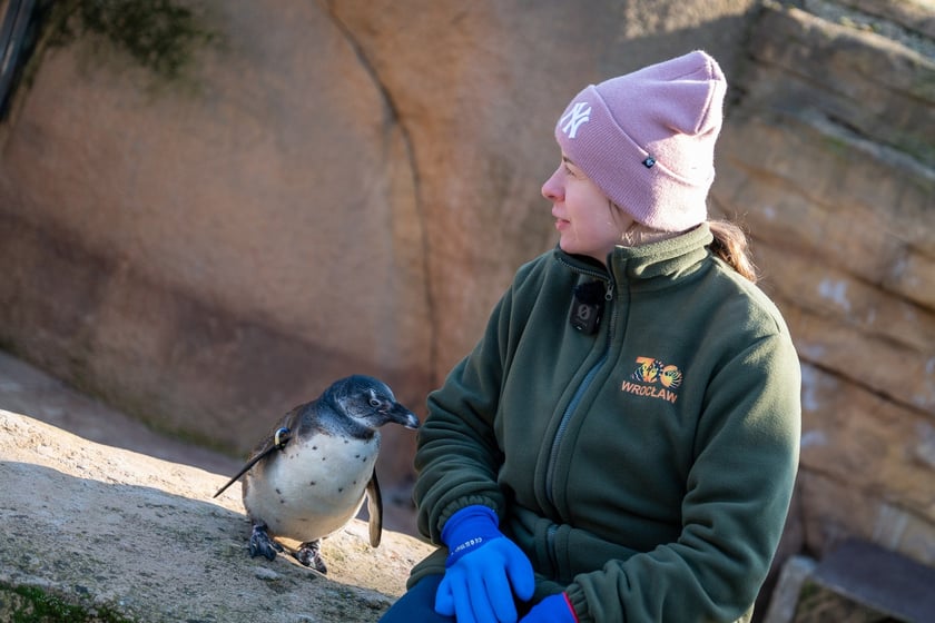 Ewelina Kliś dzięki wygranej aukcji na rzecz WOŚP spędziła dzień we wrocławskim zoo