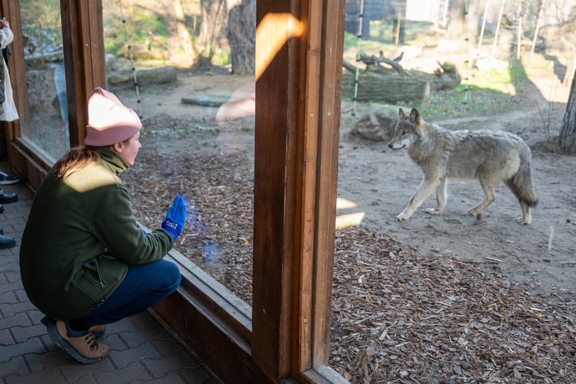 Ewelina Kliś dzięki wygranej aukcji na rzecz WOŚP spędziła dzień we wrocławskim zoo