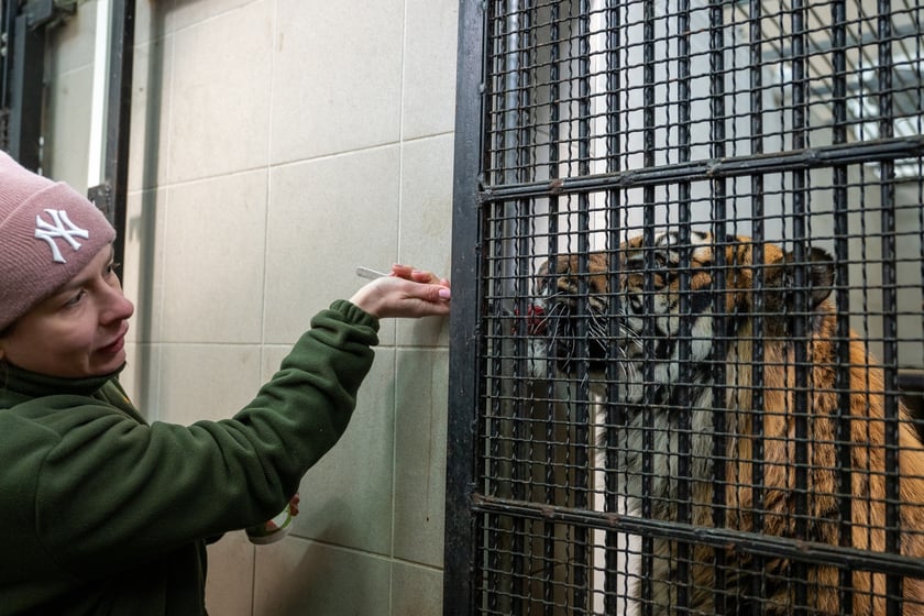 Ewelina Kliś dzięki wygranej aukcji na rzecz WOŚP spędziła dzień we wrocławskim zoo