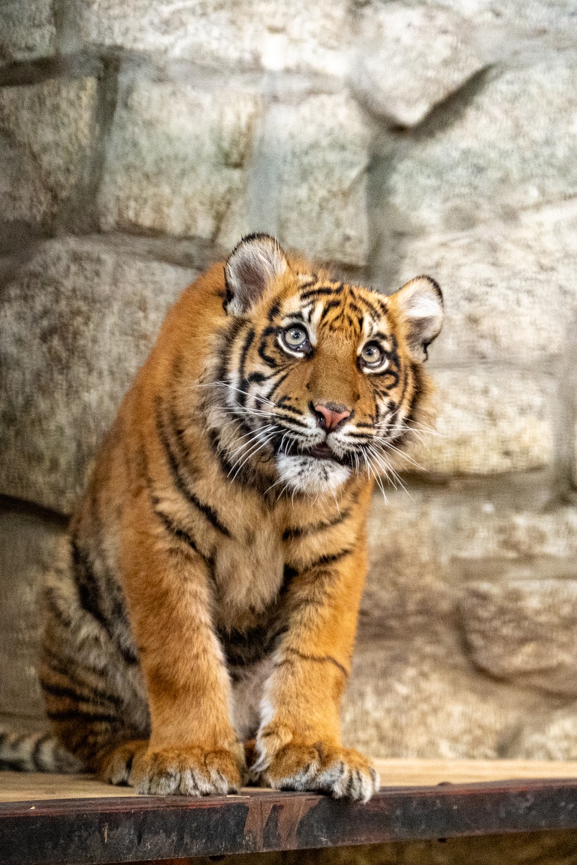 Ewelina Kliś dzięki wygranej aukcji na rzecz WOŚP spędziła dzień we wrocławskim zoo