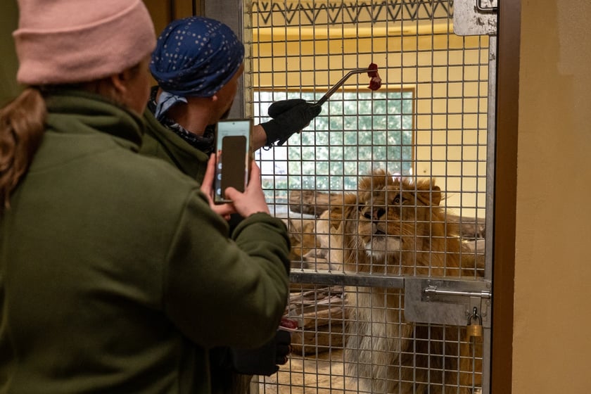 Ewelina Kliś dzięki wygranej aukcji na rzecz WOŚP spędziła dzień we wrocławskim zoo