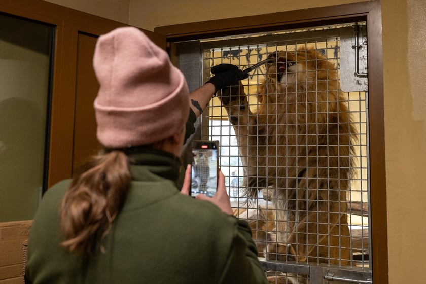 Ewelina Kliś dzięki wygranej aukcji na rzecz WOŚP spędziła dzień we wrocławskim zoo