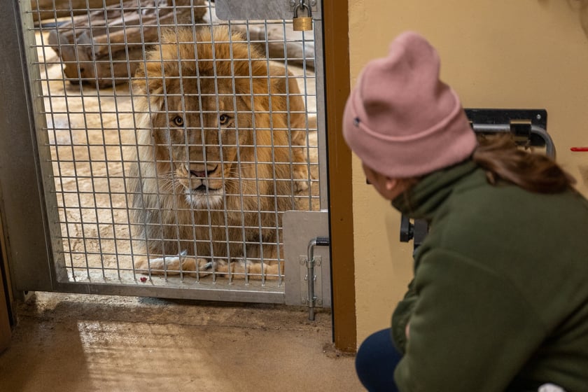 Ewelina Kliś dzięki wygranej aukcji na rzecz WOŚP spędziła dzień we wrocławskim zoo