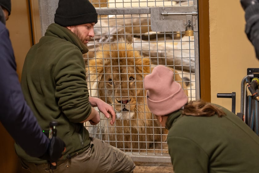 Ewelina Kliś dzięki wygranej aukcji na rzecz WOŚP spędziła dzień we wrocławskim zoo