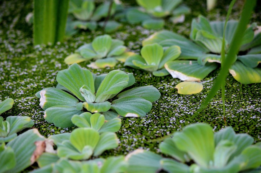 Ogr&oacute;d Botaniczny we Wrocławiu na przełomie lutego i marca