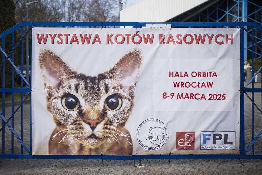 Wystawa Kotów Rasowych w Hali Orbita we Wrocławiu