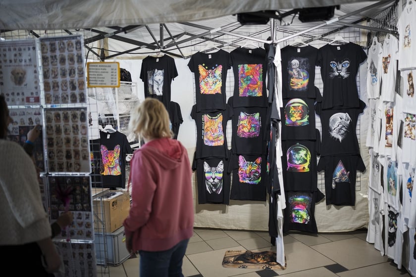 Wystawa Kotów Rasowych w Hali Orbita we Wrocławiu