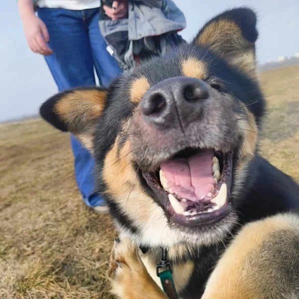Pirat&nbsp;ma tylko jedno oko, ale patrzy na świat z ogromnym entuzjazmem. To wesoły, pogodny chłopak, kt&oacute;ry rozdaje uśmiechy na prawo i lewo.