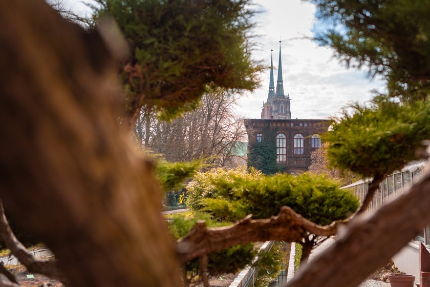 Ogr&oacute;d Botaniczny Uniwersytetu Wrocławskiego otwiera się dla zwiedzających