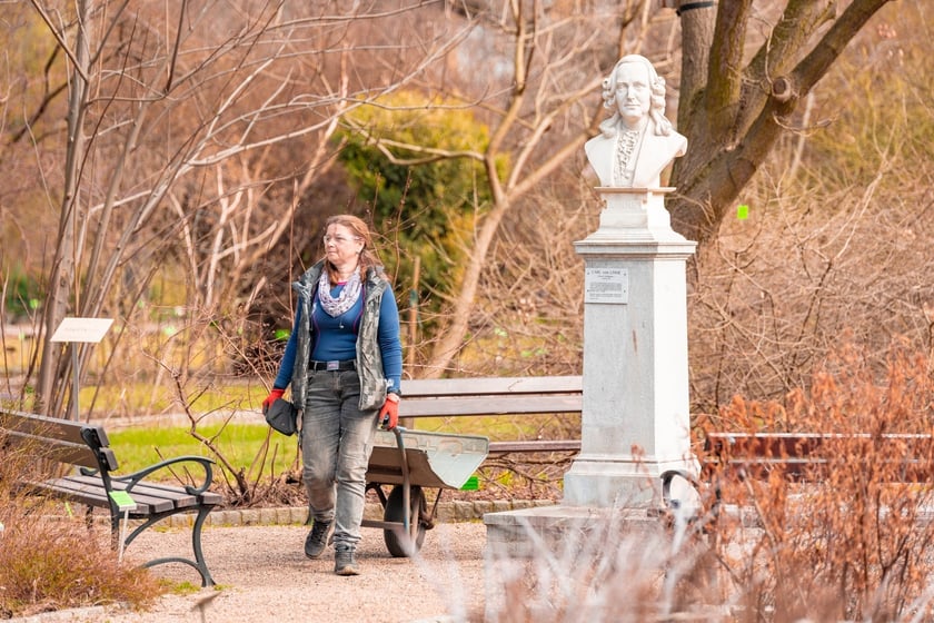 Ogr&oacute;d Botaniczny Uniwersytetu Wrocławskiego otwiera się dla zwiedzających