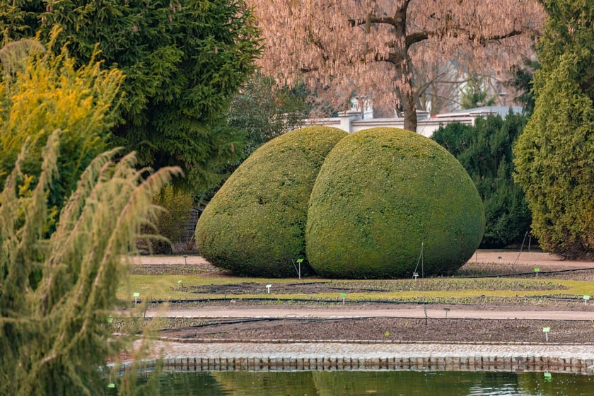 Ogr&oacute;d Botaniczny Uniwersytetu Wrocławskiego otwiera się dla zwiedzających