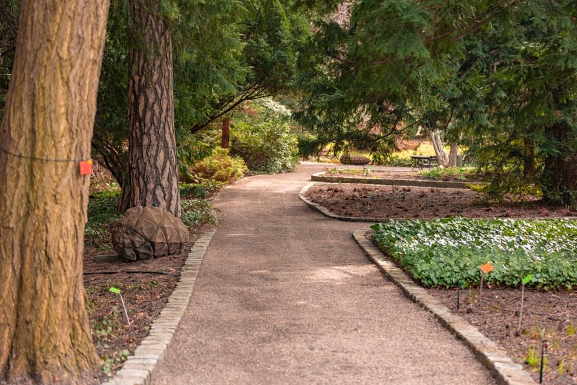 Ogr&oacute;d Botaniczny Uniwersytetu Wrocławskiego otwiera się dla zwiedzających