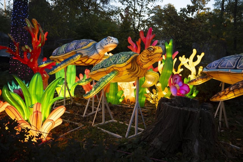 Garden of Lights – Dzika Azja