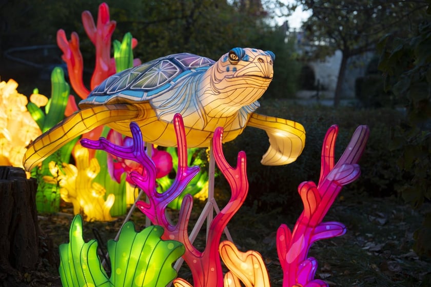 Garden of Lights – Dzika Azja