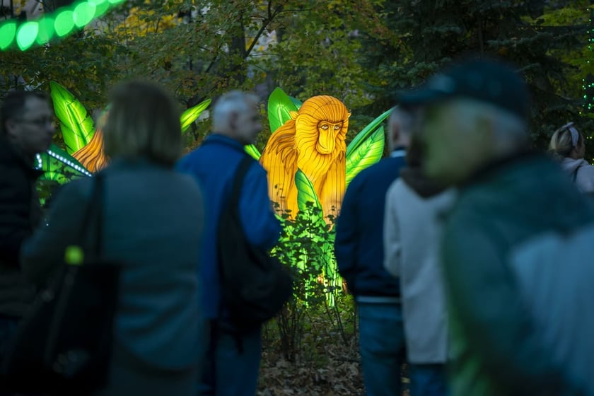 Garden of Lights – Dzika Azja