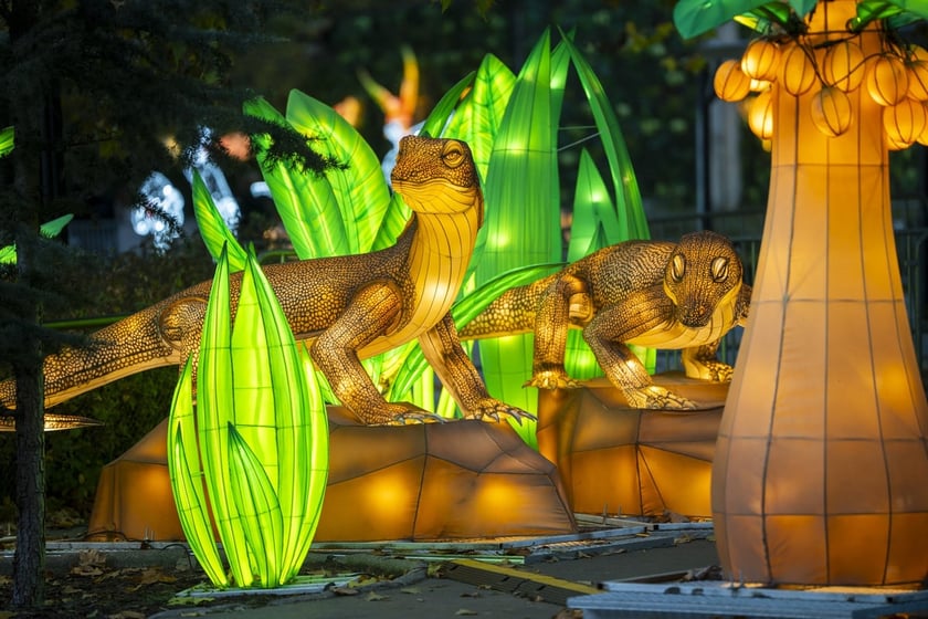Garden of Lights – Dzika Azja