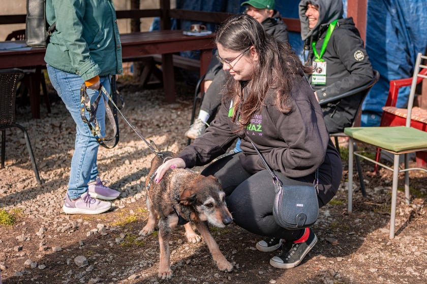 Otwarty Dzień Adopcyjny w Ekostraży - 15.03.2025