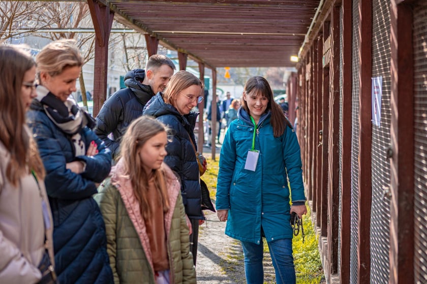 Otwarty Dzień Adopcyjny w Ekostraży - 15.03.2025