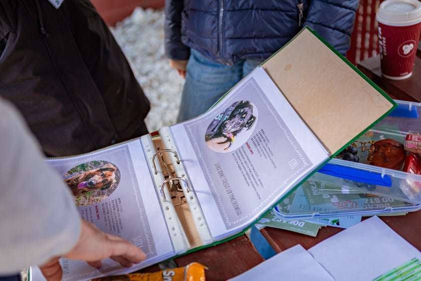 Otwarty Dzień Adopcyjny w Ekostraży - 15.03.2025