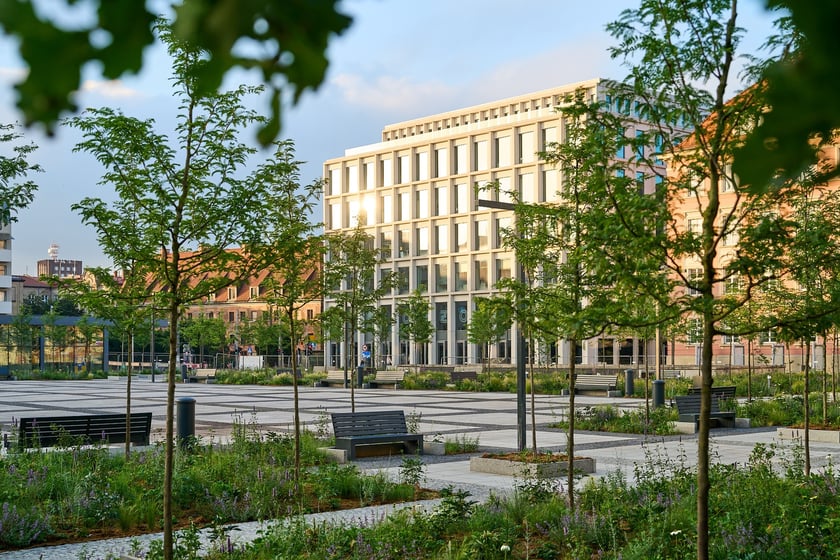 Plac Nowy Targ po zakończeniu prac związanych z zazielenianiem