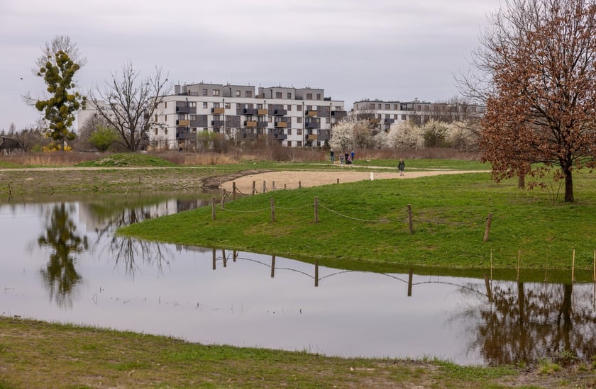 Park Krzycki