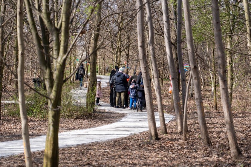 Park Krzycki