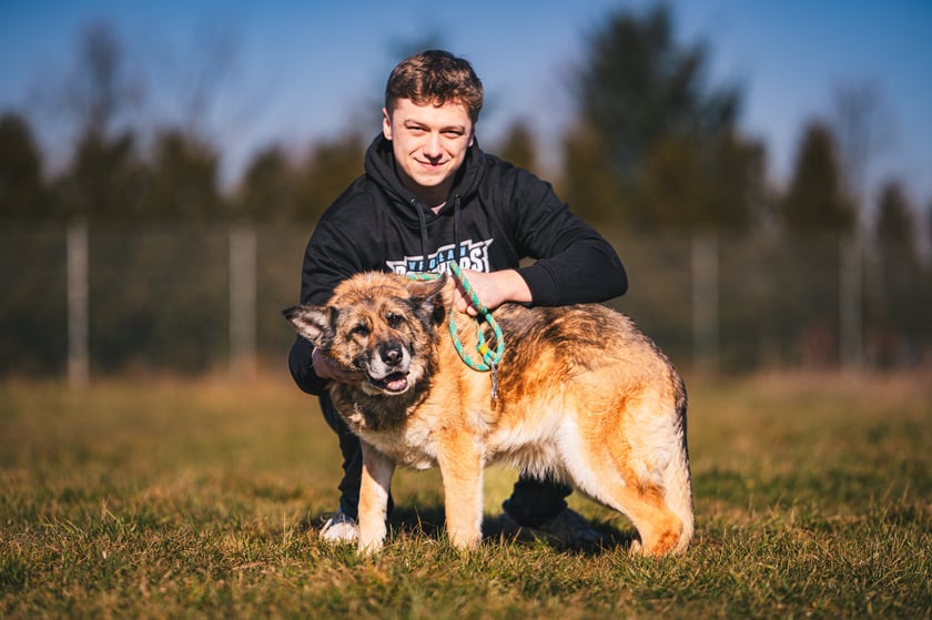 LARA, 9 lat - radosna i przyjazna sunia, toleruje wybrane pieski, w serduszku znajdzie miejsce dla każdego człowieka.