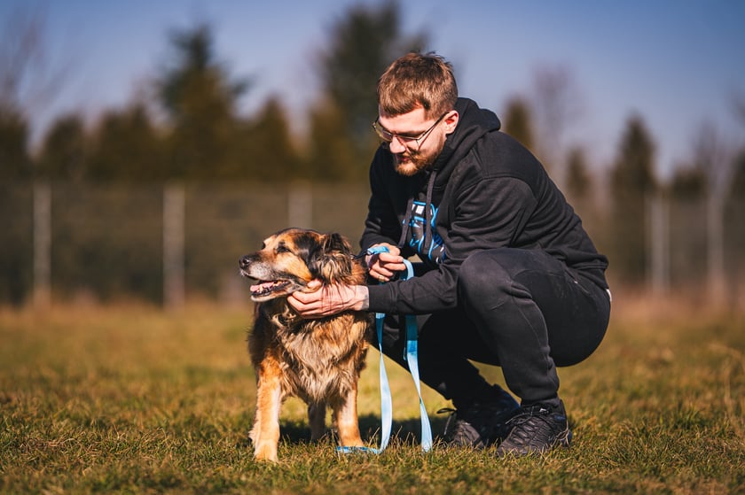 MORUS, 9 lat - przemiły psiak, idealny dla osób szukających zrównoważonego i spokojnego kompana.