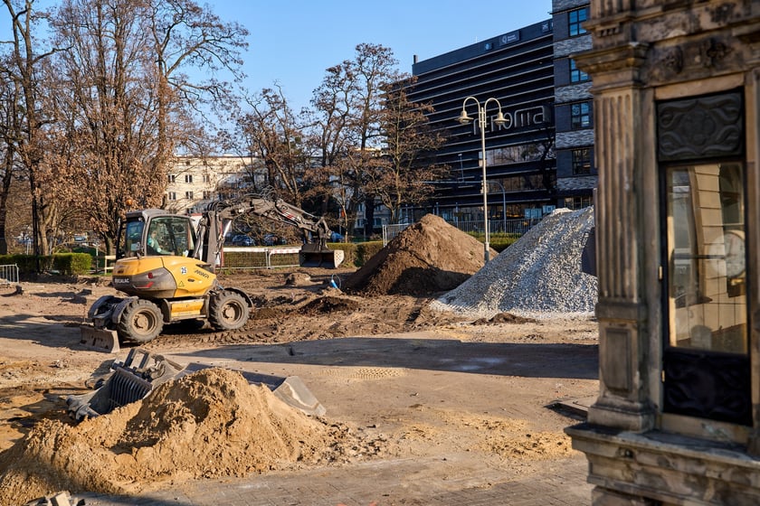 Wykopki pod rośliny przy konnym pomniku Bolesława Chrobrego, na tle Renomy