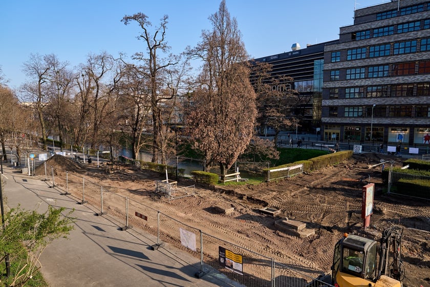 Wykopki pod rośliny przy konnym pomniku Bolesława Chrobrego, na tle Renomy