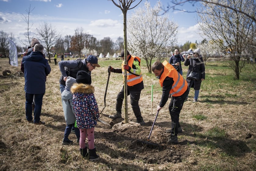 Piknik #WROśnijweWROcław przy ul. Lechitów