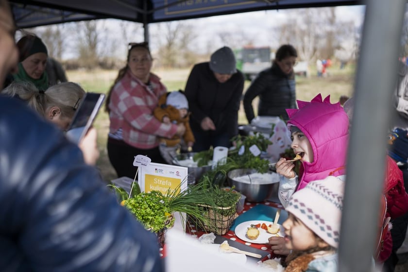Piknik #WROśnijweWROcław przy ul. Lechitów