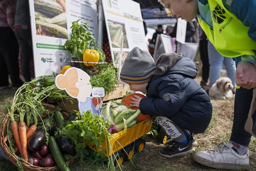 Piknik #WROśnijweWROcław przy ul. Lechitów