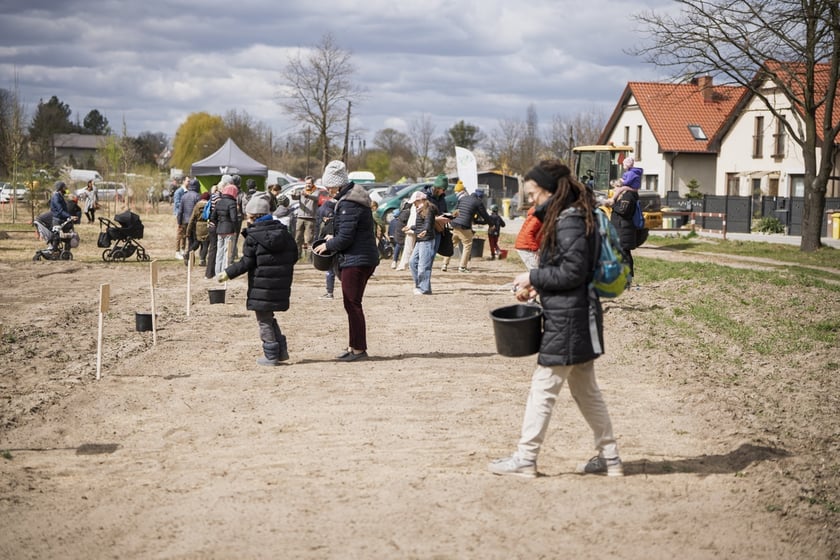 Piknik #WROśnijweWROcław przy ul. Lechitów