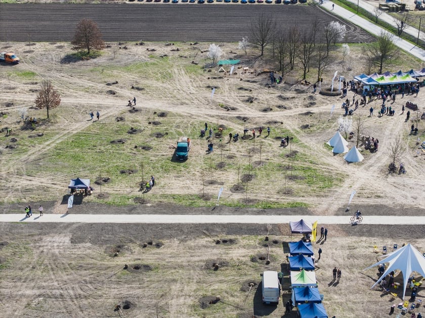 Piknik #WROśnijweWROcław przy ul. Lechitów
