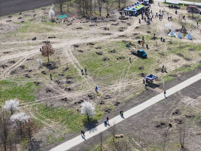 Piknik #WROśnijweWROcław przy ul. Lechitów