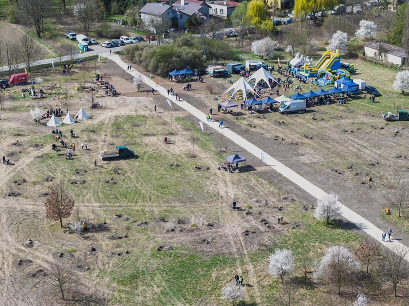 Piknik #WROśnijweWROcław przy ul. Lechitów