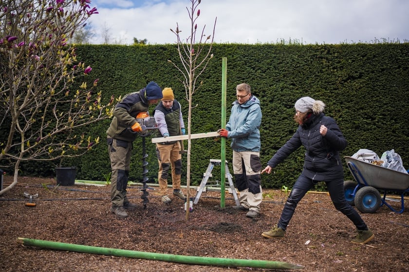 Festiwal Magnolii w Ogrodzie Botanicznym