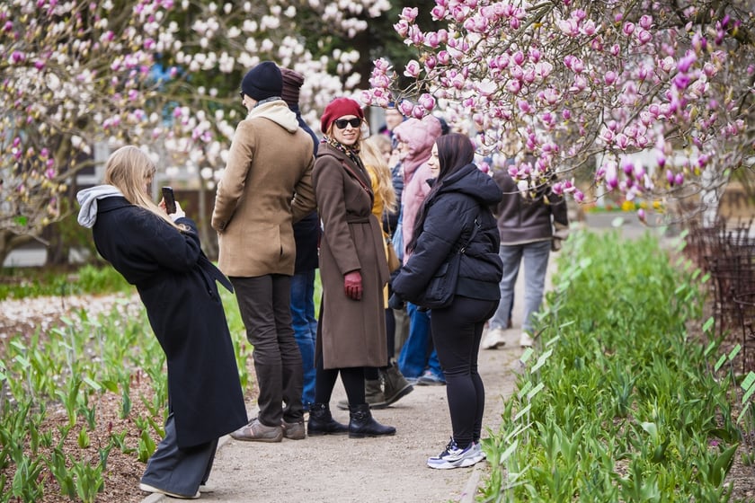 Festiwal Magnolii w Ogrodzie Botanicznym