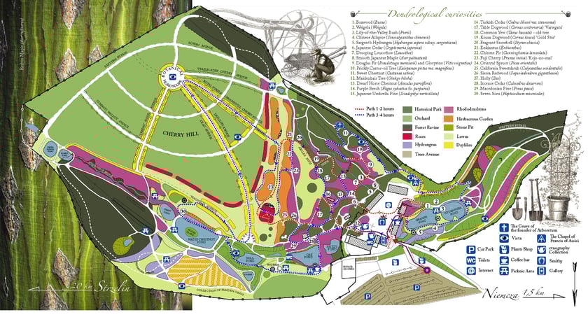 Mapa Arboretum Wojsławice