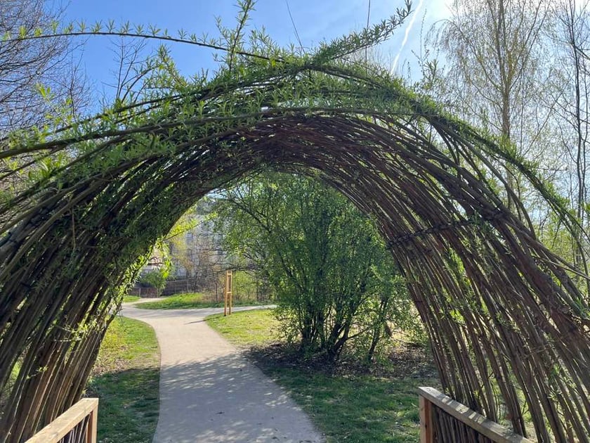 Park Krzycki