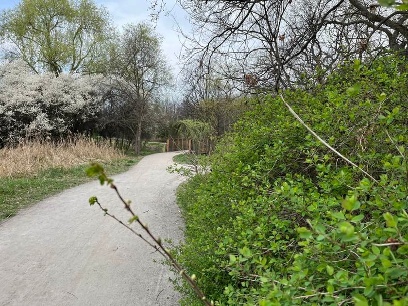Park Krzycki