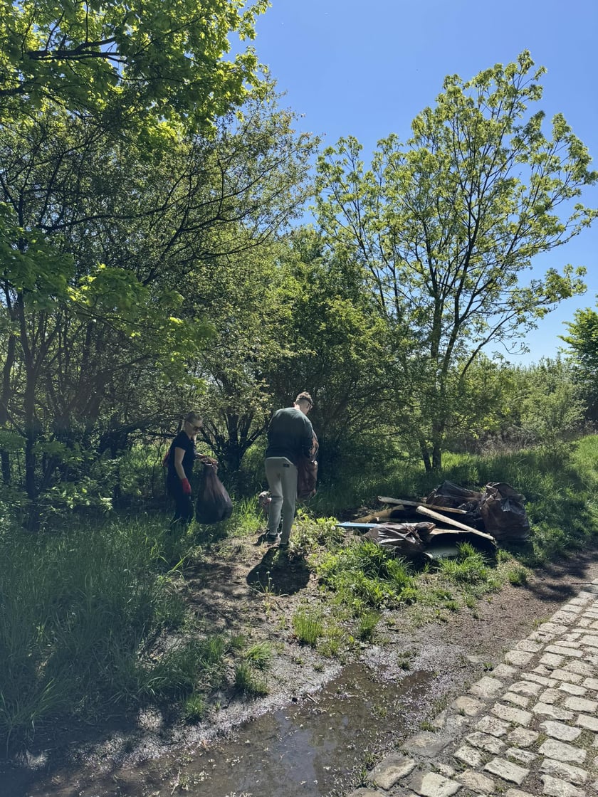Akcja sprzątania Muchoboru Wielkiego - 26.04.2025