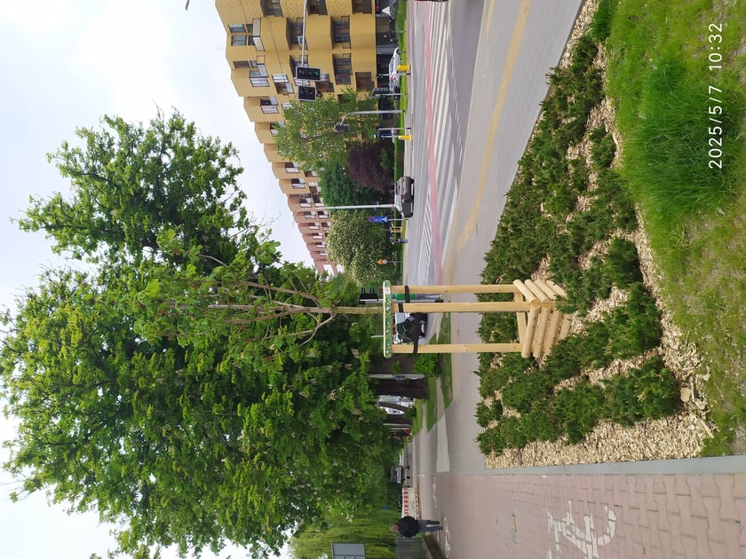 Wiosenne nasadzenia ZZM we Wrocławiu