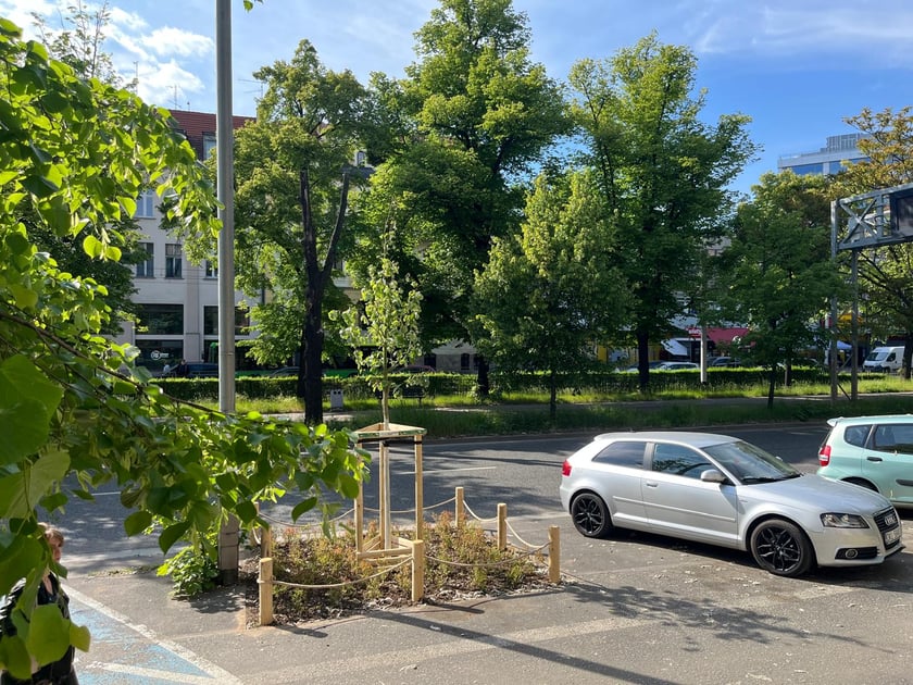 Wiosenne nasadzenia ZZM we Wrocławiu