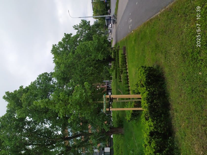 Wiosenne nasadzenia ZZM we Wrocławiu