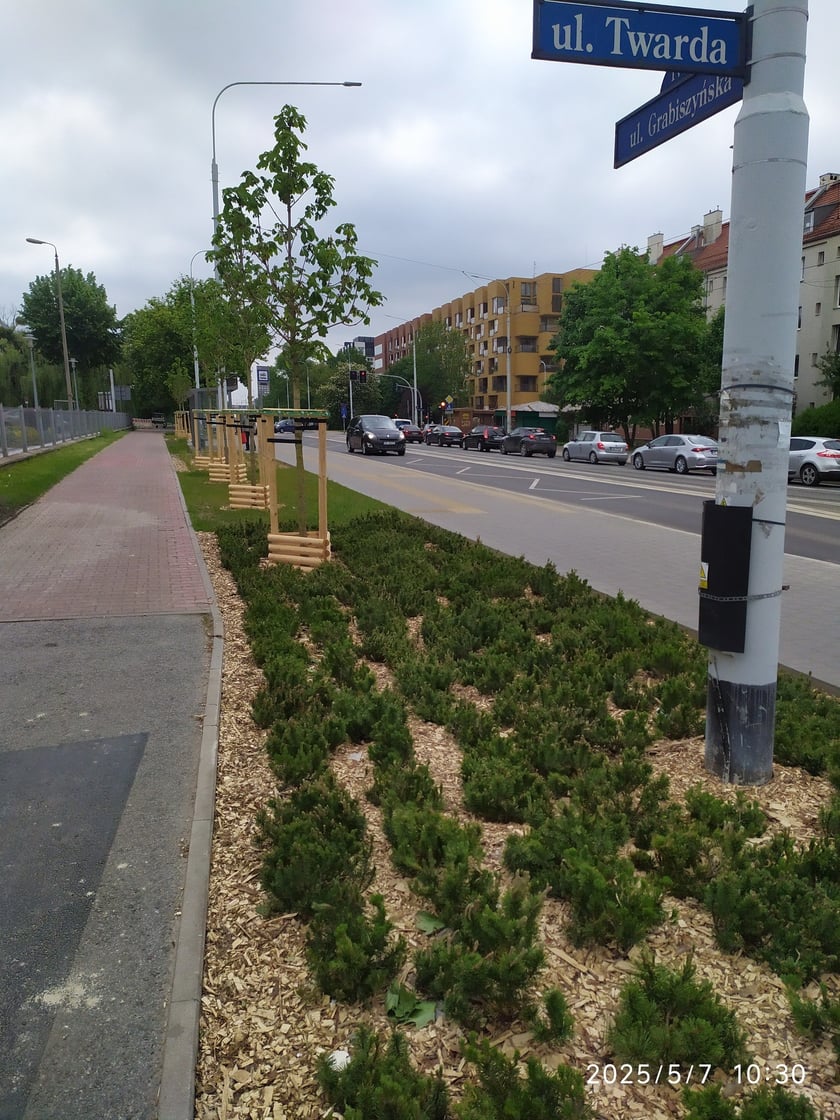 Wiosenne nasadzenia ZZM we Wrocławiu