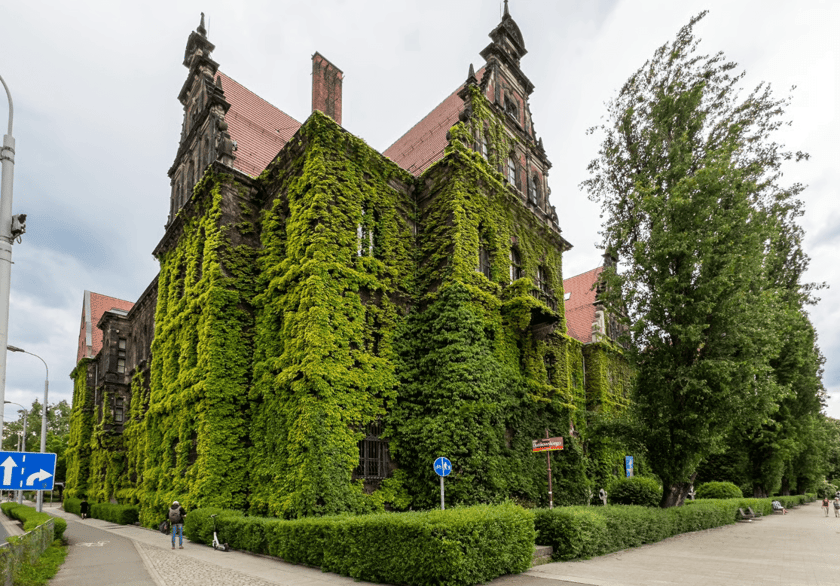 Zielona ściana na Muzeum Narodowym we Wrocławiu.